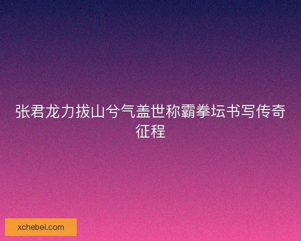 张君龙力拔山兮气盖世称霸拳坛书写传奇征程